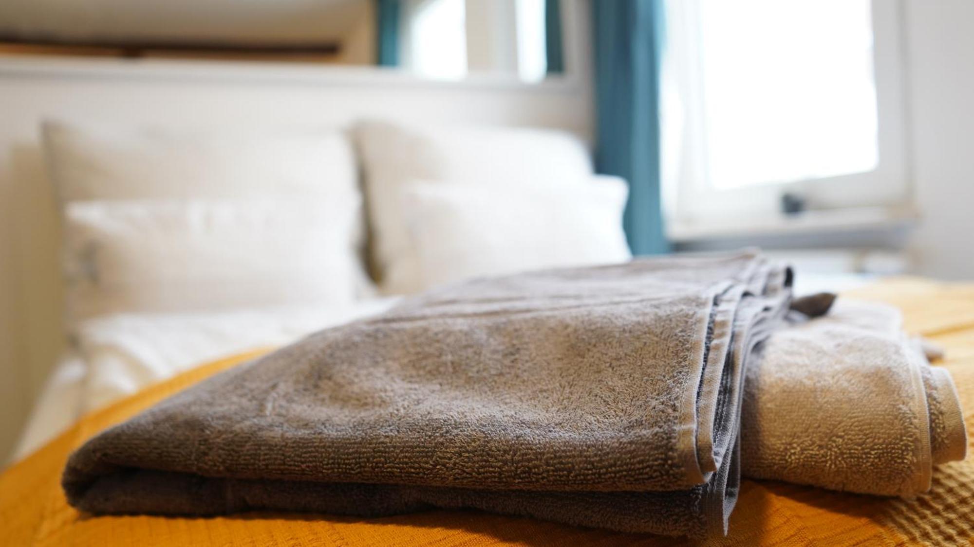 Séjour chez l'habitant Zentrale, Gemuetliche Dachgeschoss-etage - 52qm - Altes Haus Auf 2,5 Etagen Exklusiv Fuer Dich - Mit 1 Schlafzimmer, Wohnzimmer Und Rueckzugsraum Zum Verweilen - Kueche, Grosses Bad, Netflix Halle (Saale)